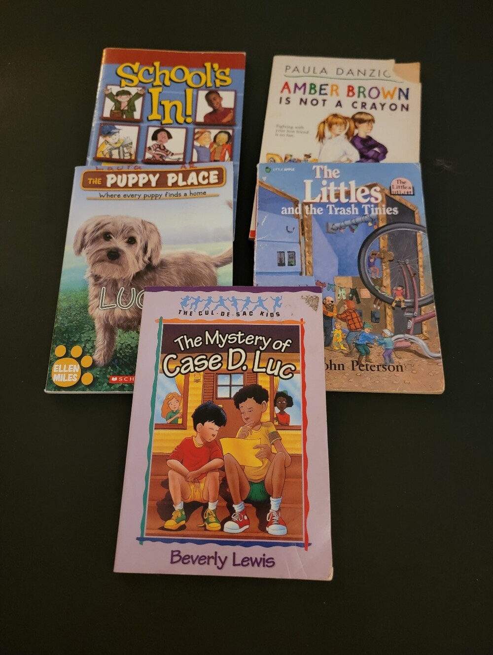 Lot Of Five Choldrens Chapter Books